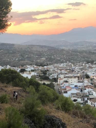 Hotel La Palmera Alhaurín el Grande Εξωτερικό φωτογραφία